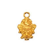 Coat-of-arms Charm