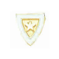 Candidate Pin (Pledge) Candidate Pin (Pledge)