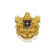 Enameled Crest Recognition Button