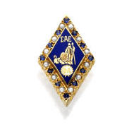 Alternating Pearl and *Sapphire Badge