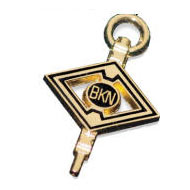 Plain Key as Tie Tac