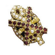 Crown Set Jeweled Badge