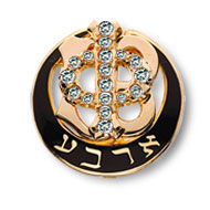 Polished Badge with Cubic Zirconia Phi